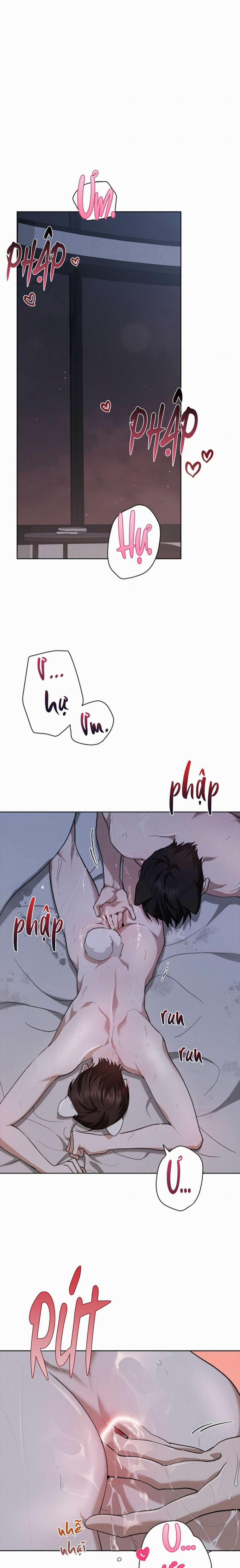 Đừng Chạm Vào Cún Con 25 trang 13