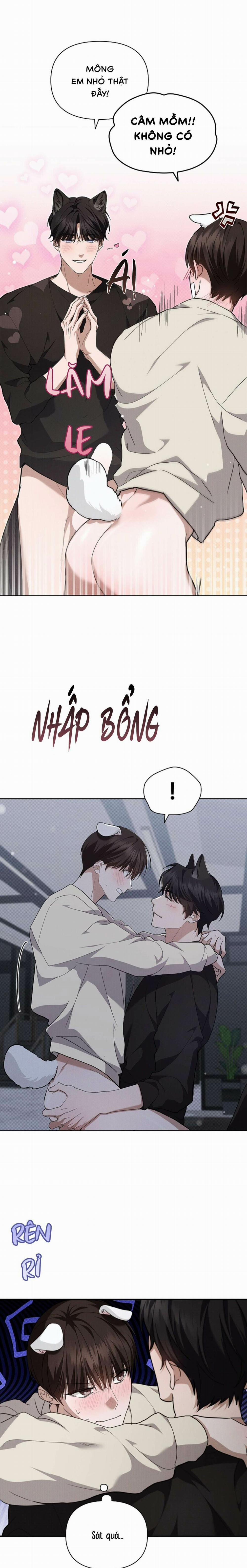 Đừng Chạm Vào Cún Con 25 trang 3