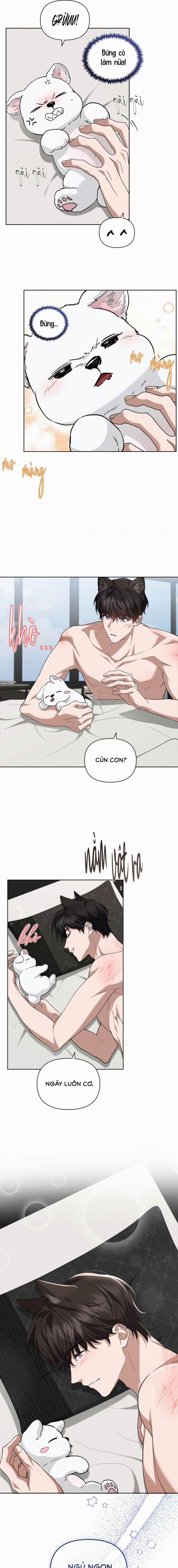 Đừng Chạm Vào Cún Con 26 trang 10