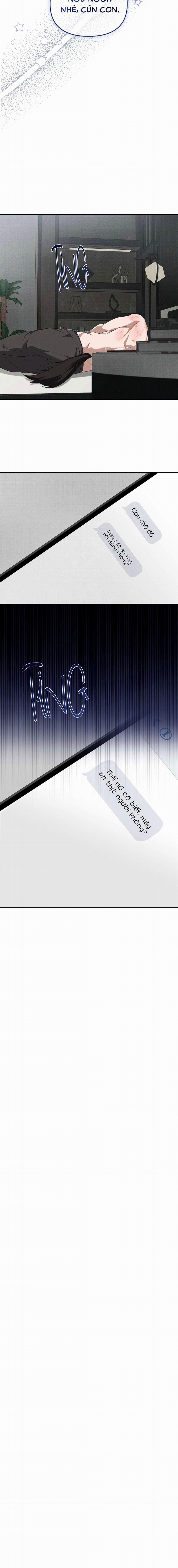 Đừng Chạm Vào Cún Con 26 trang 11