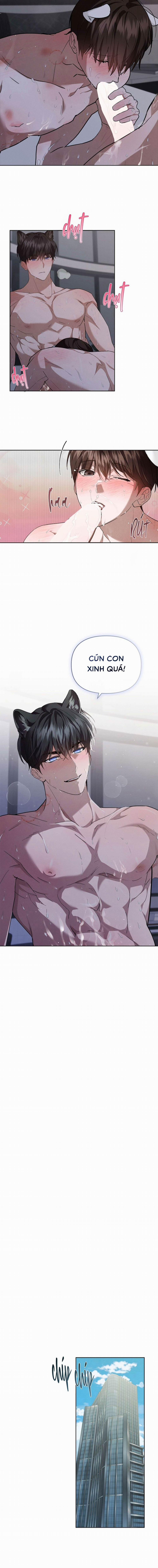 Đừng Chạm Vào Cún Con 26 trang 5