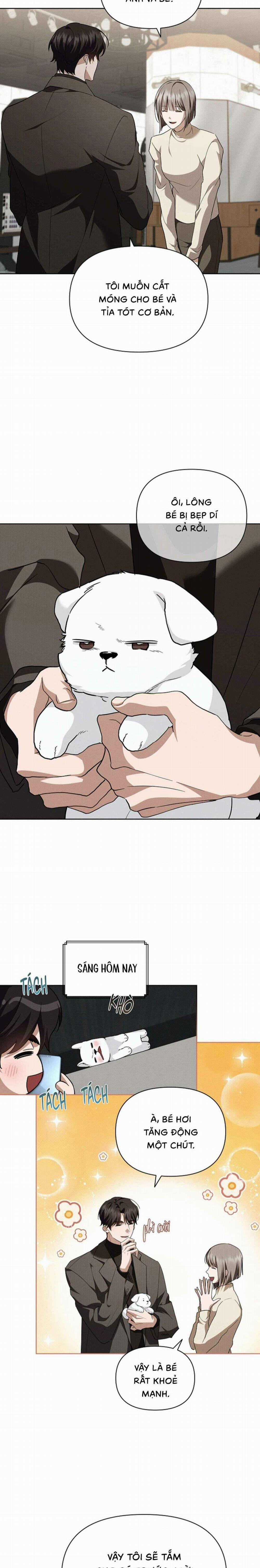 Đừng Chạm Vào Cún Con 28 trang 10