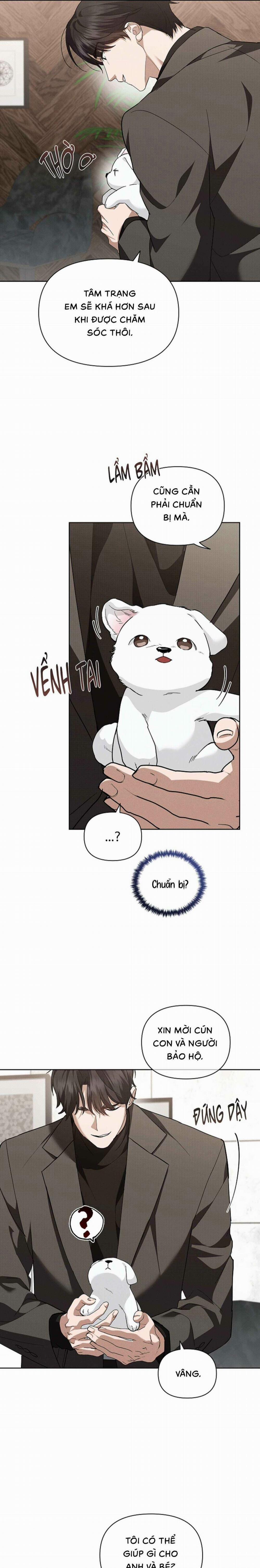 Đừng Chạm Vào Cún Con 28 trang 9