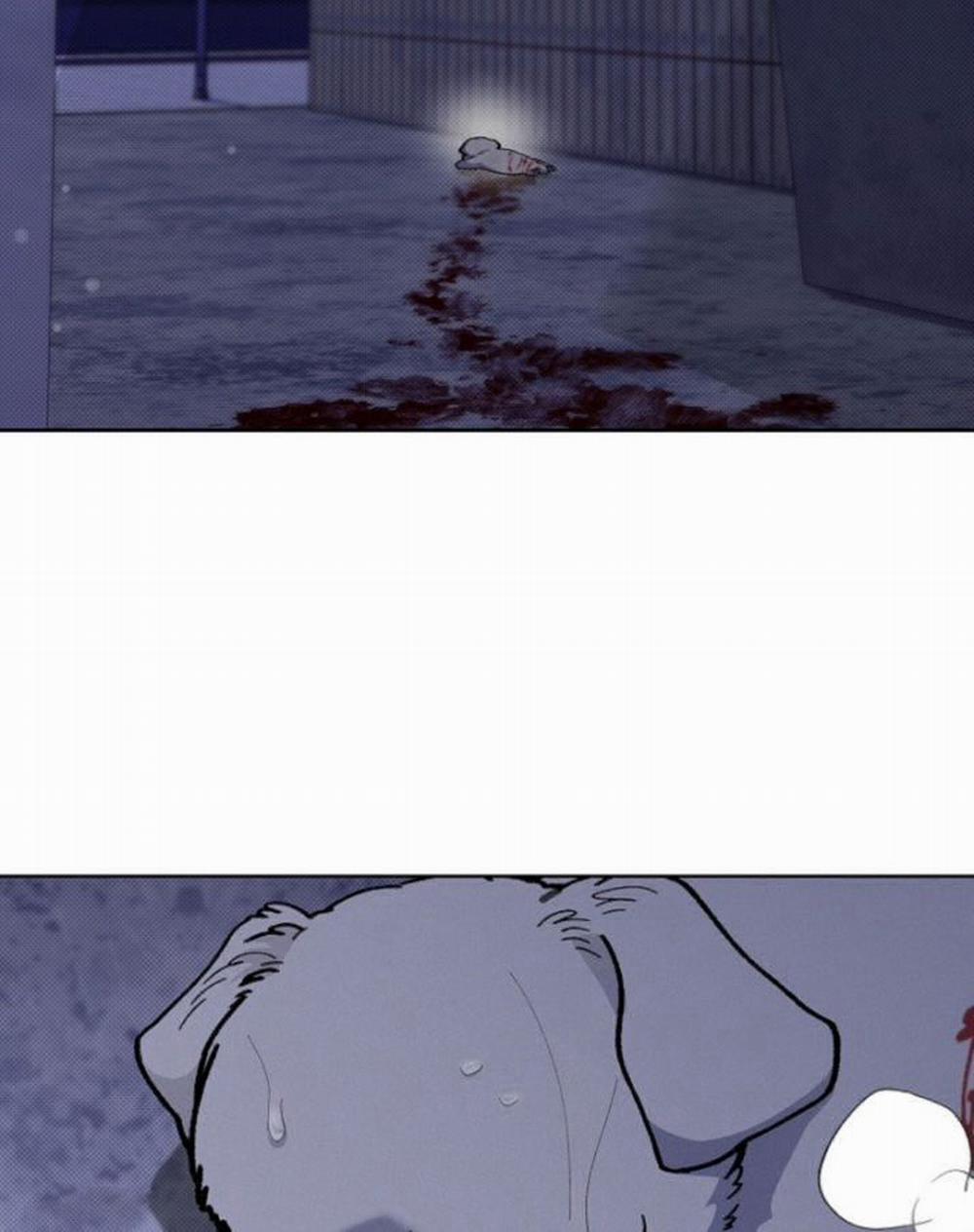 Đừng Chạm Vào Cún Con 3 trang 44