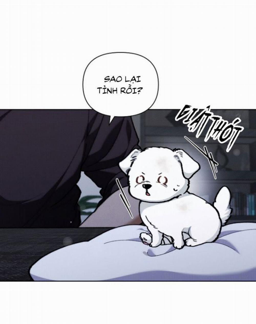 Đừng Chạm Vào Cún Con 3 trang 80