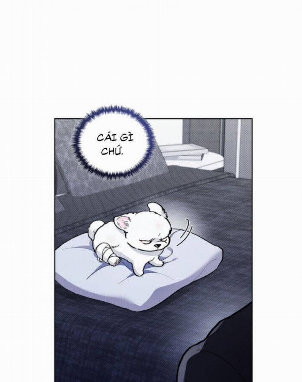 Đừng Chạm Vào Cún Con 3 trang 81