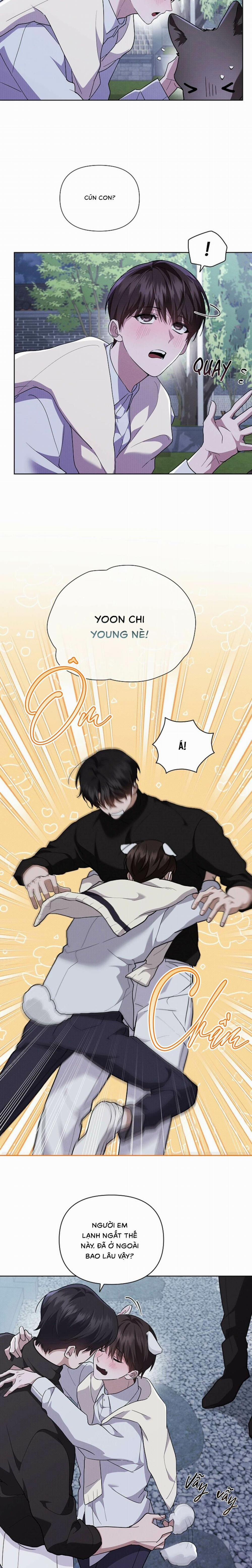 Đừng Chạm Vào Cún Con 30 trang 1