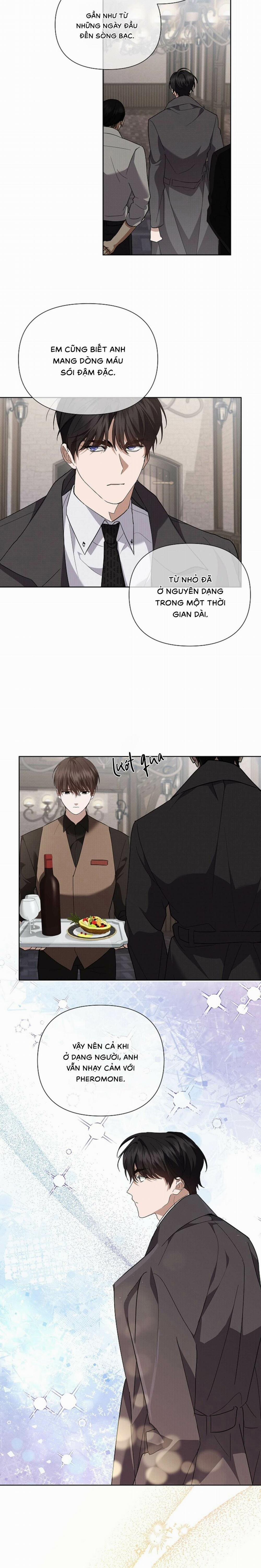 Đừng Chạm Vào Cún Con 30 trang 11