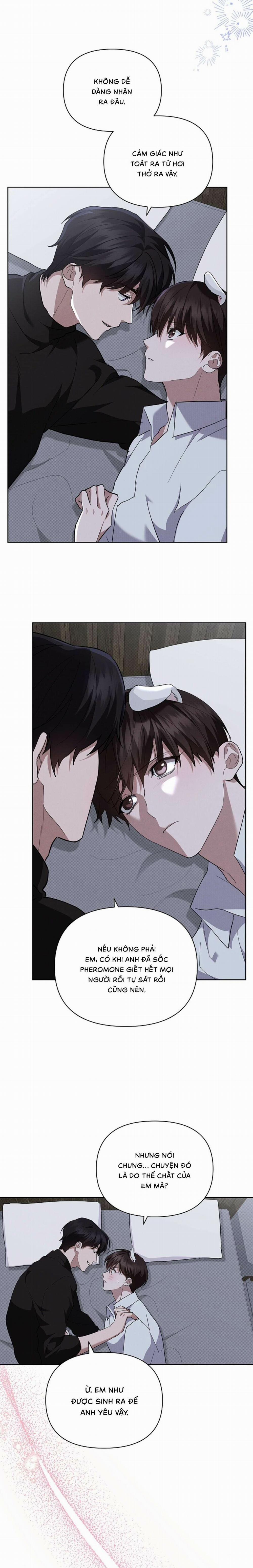 Đừng Chạm Vào Cún Con 30 trang 13