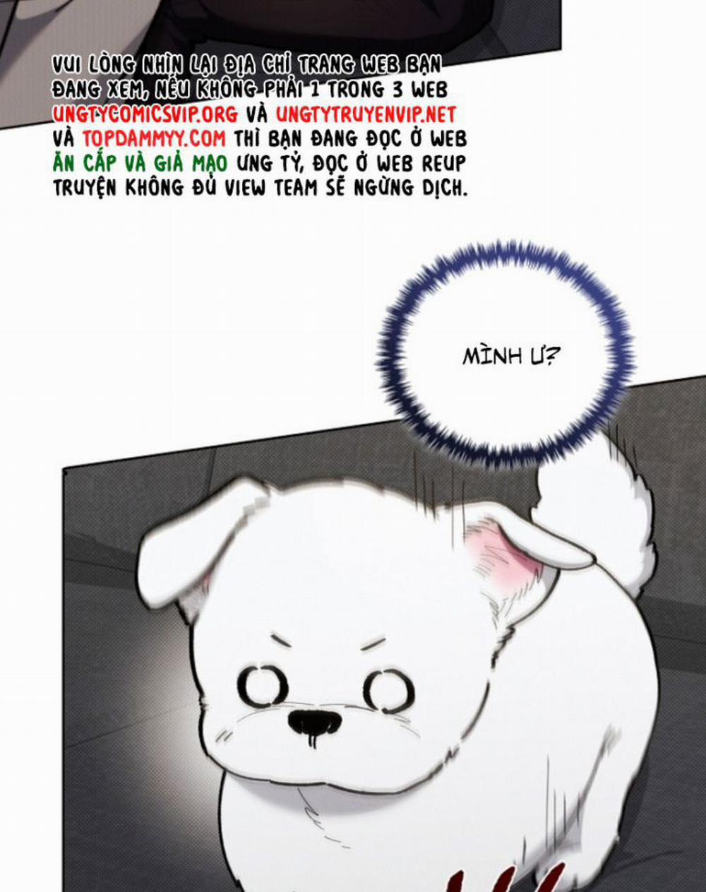 Đừng Chạm Vào Cún Con 4 trang 61