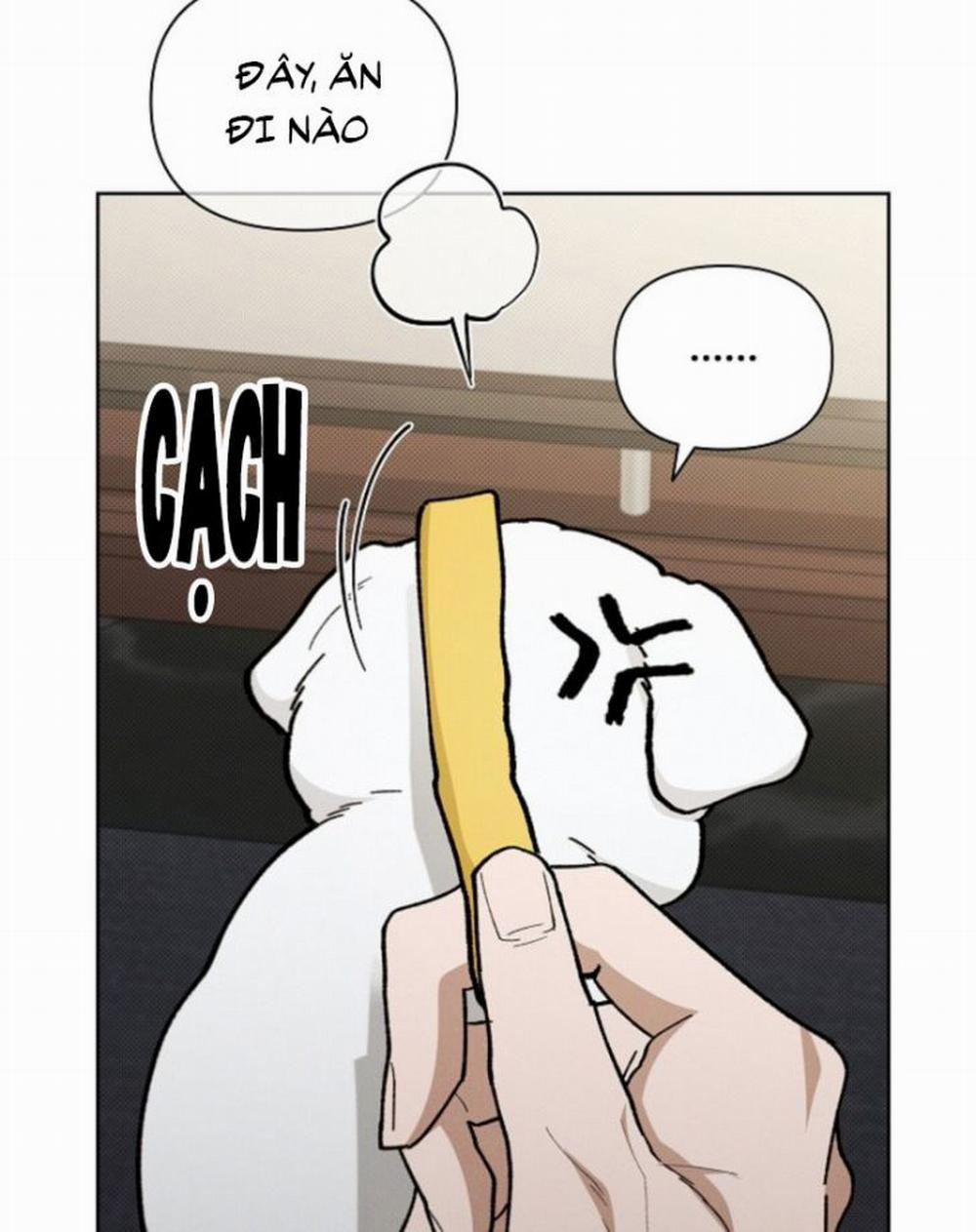 Đừng Chạm Vào Cún Con 4 trang 81