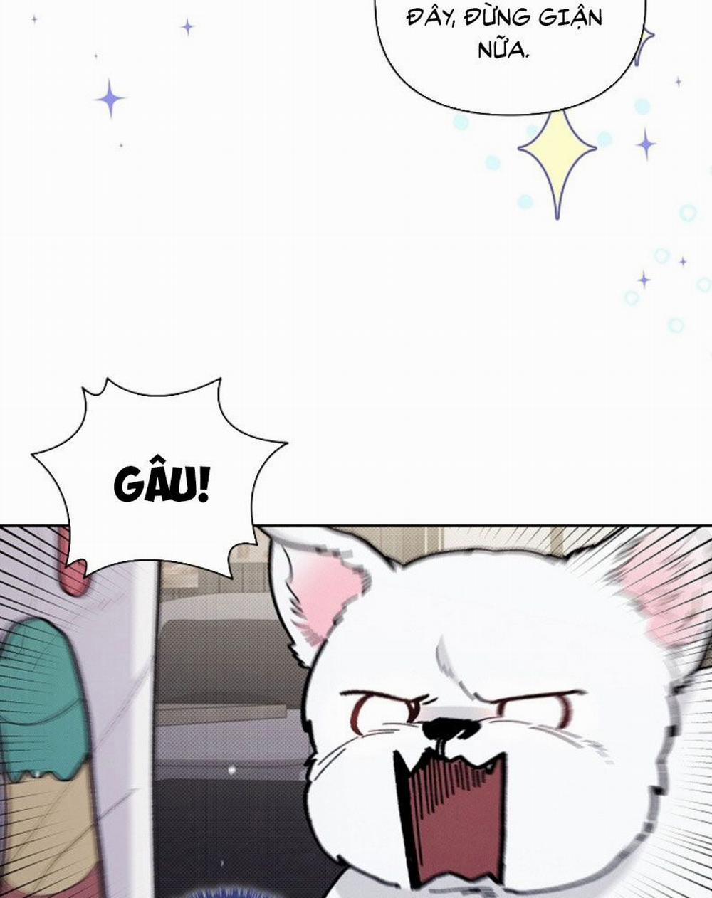 Đừng Chạm Vào Cún Con 5 trang 24