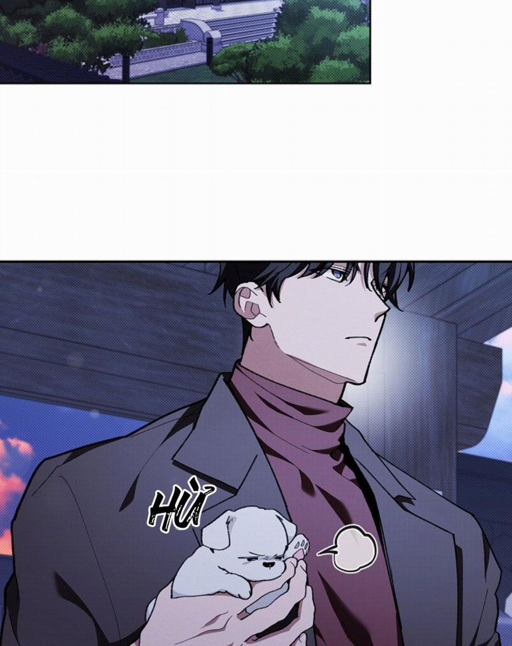 Đừng Chạm Vào Cún Con 5 trang 43