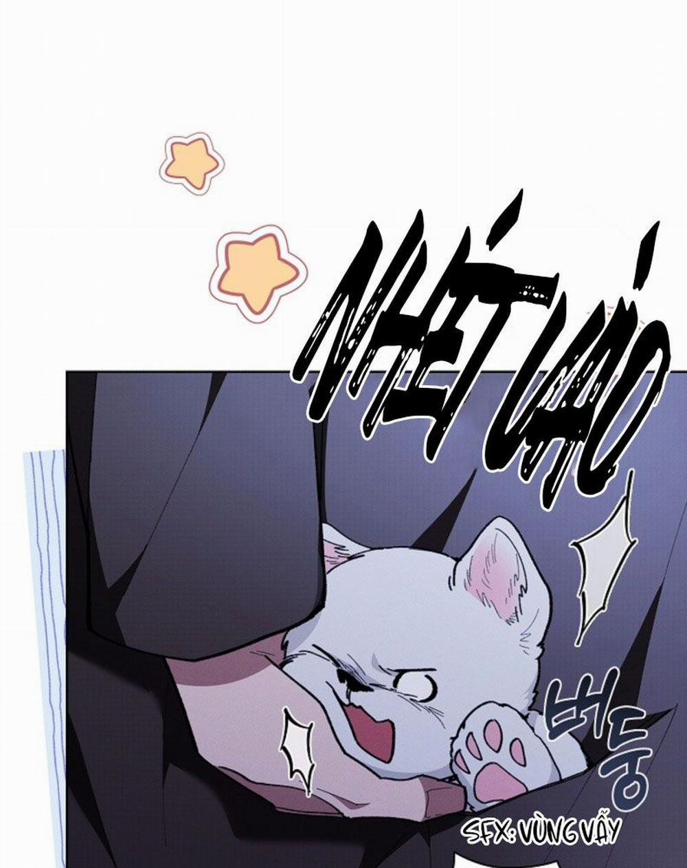 Đừng Chạm Vào Cún Con 5 trang 46