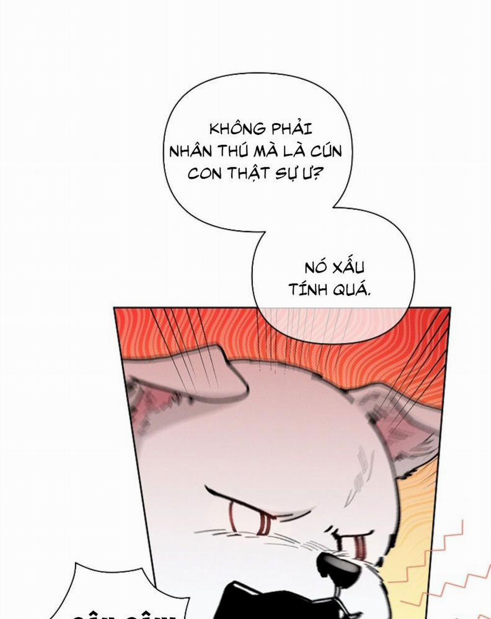 Đừng Chạm Vào Cún Con 5 trang 78