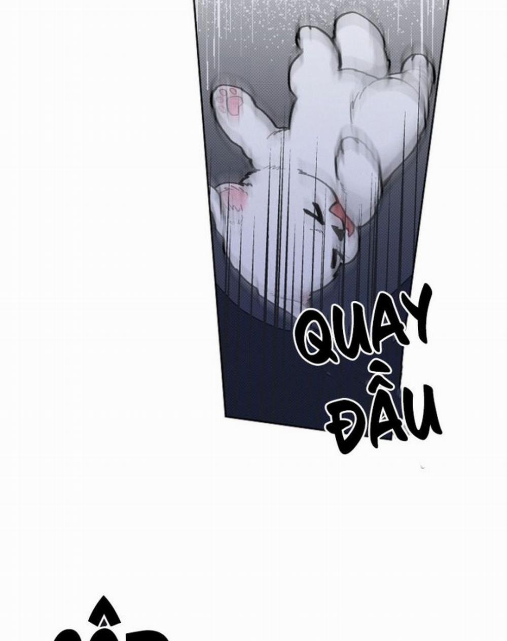 Đừng Chạm Vào Cún Con 6 trang 10