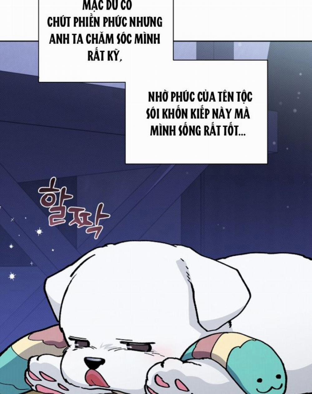 Đừng Chạm Vào Cún Con 6 trang 36