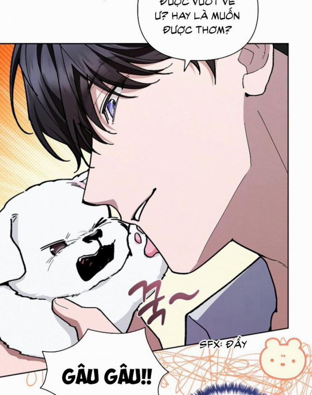 Đừng Chạm Vào Cún Con 6 trang 46