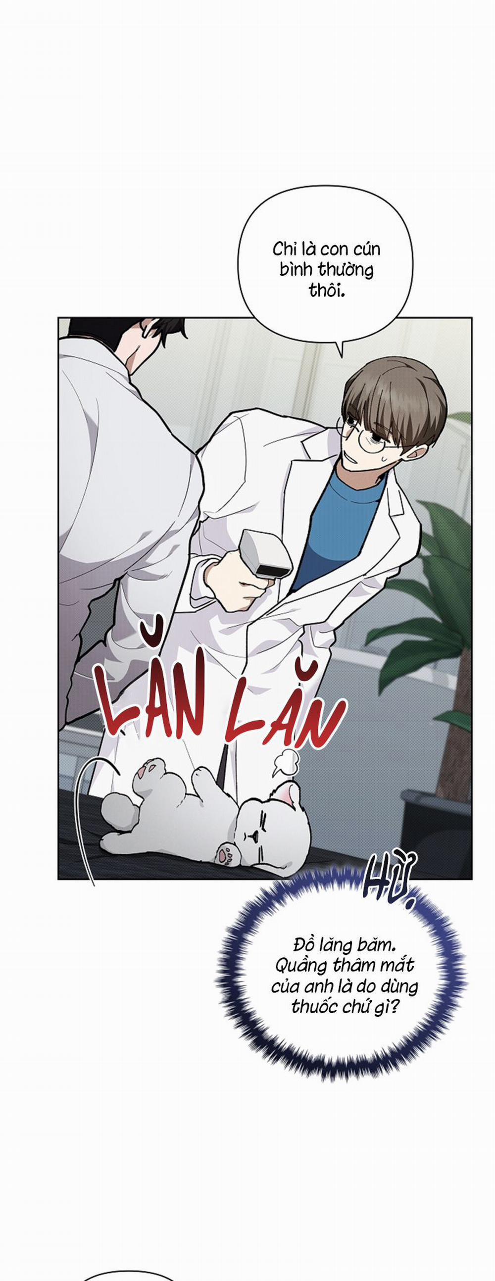 Đừng Chạm Vào Cún Con 7 trang 10