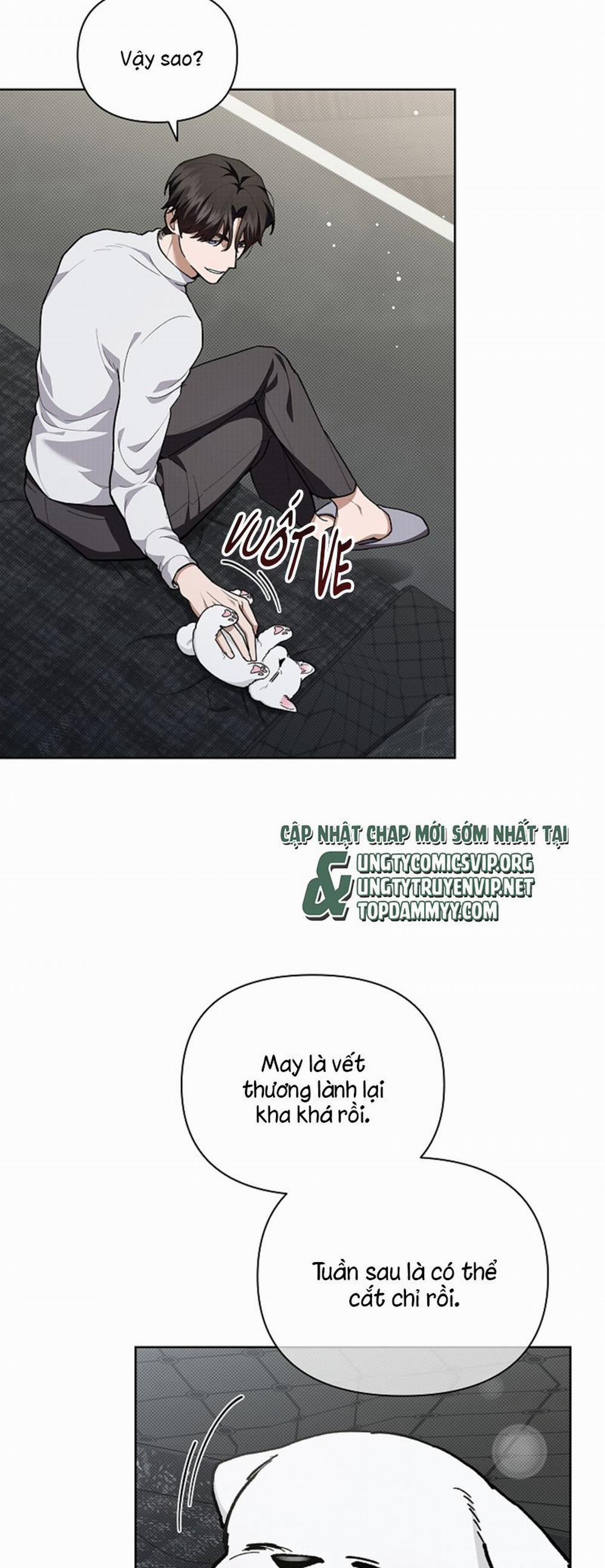 Đừng Chạm Vào Cún Con 7 trang 11