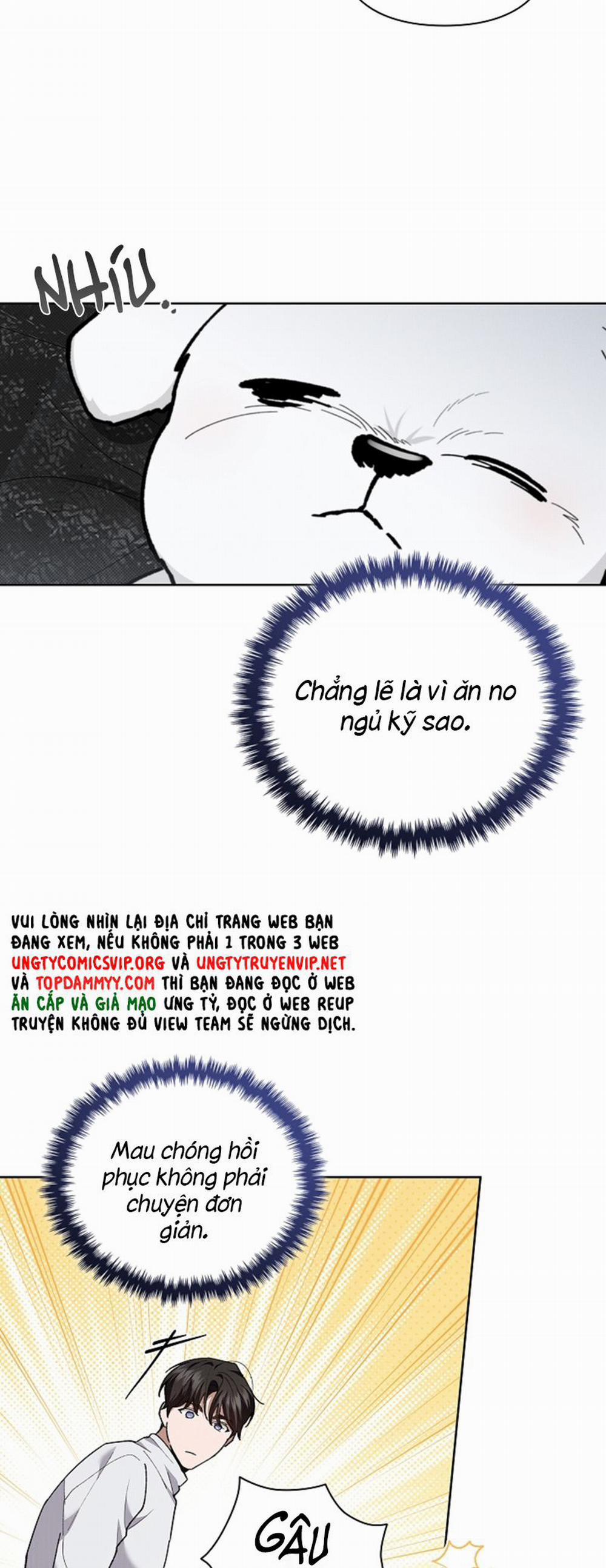 Đừng Chạm Vào Cún Con 7 trang 13