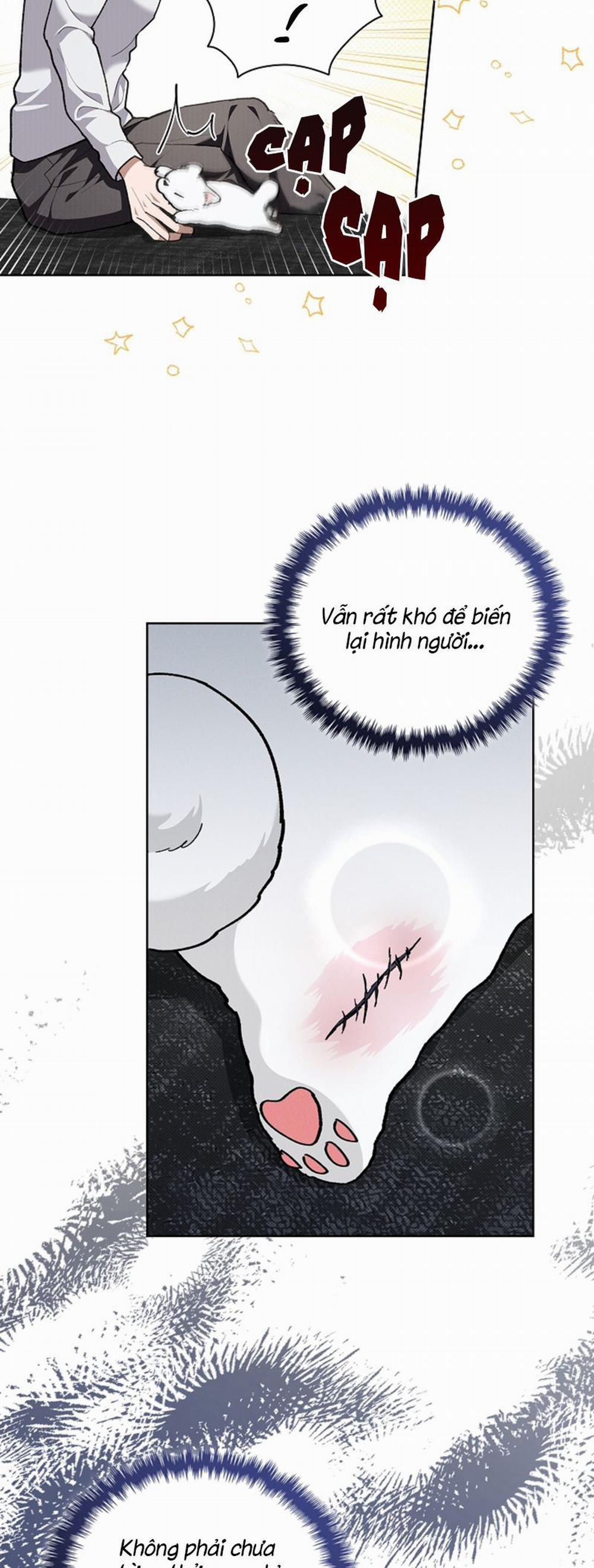 Đừng Chạm Vào Cún Con 7 trang 14