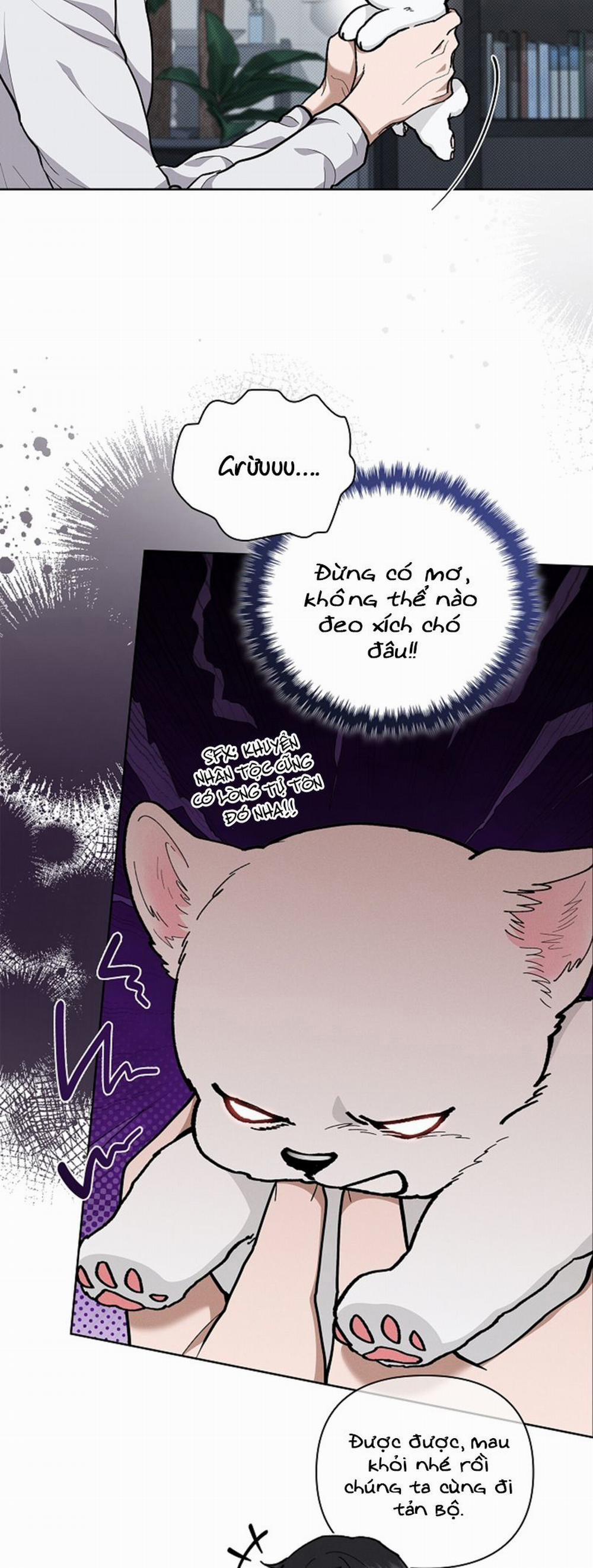 Đừng Chạm Vào Cún Con 7 trang 16