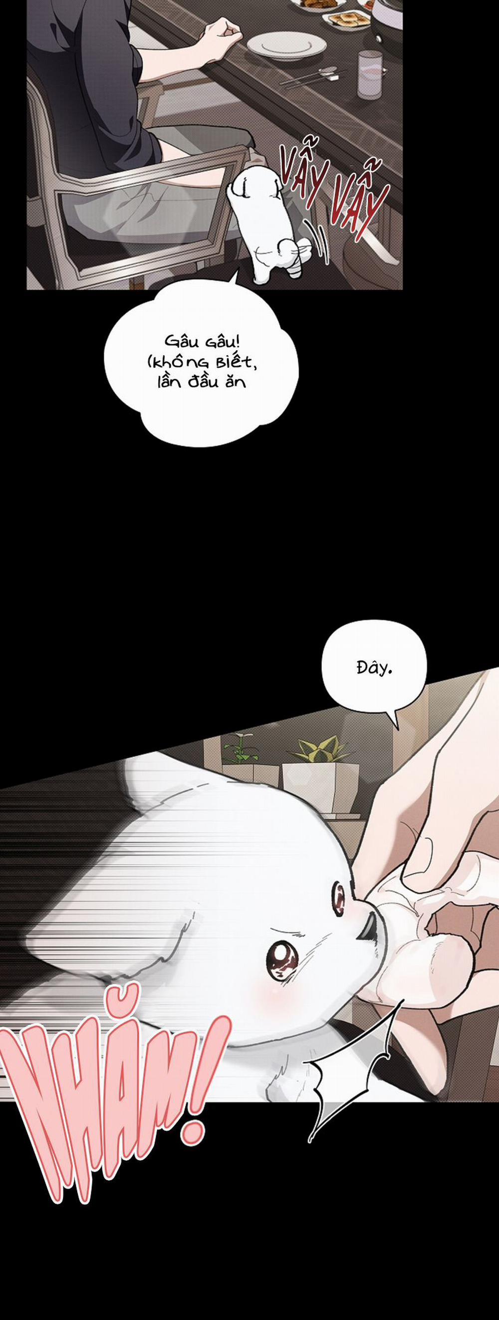 Đừng Chạm Vào Cún Con 7 trang 20