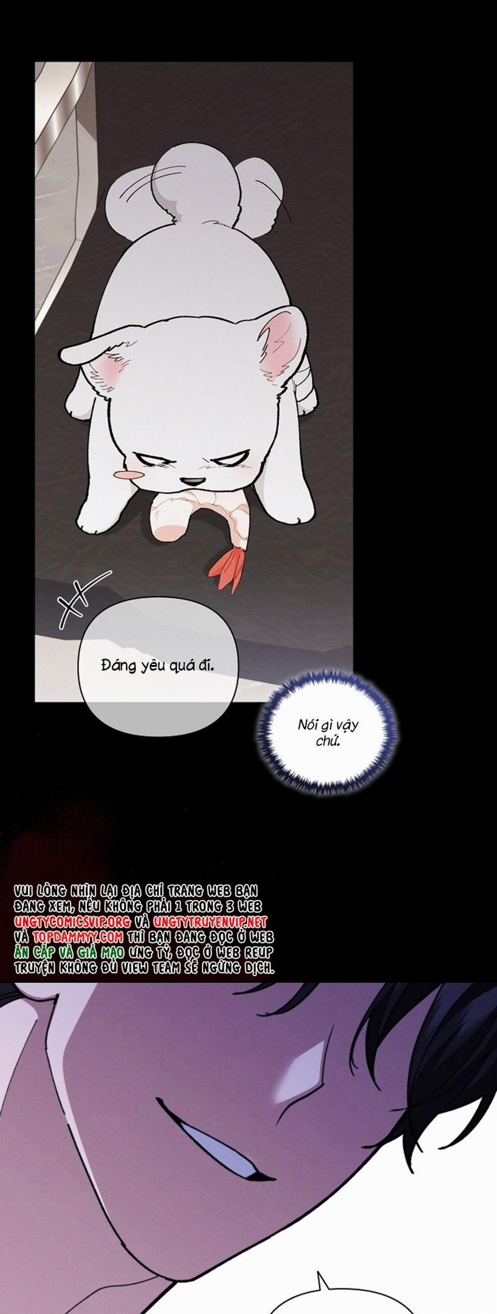 Đừng Chạm Vào Cún Con 7 trang 21