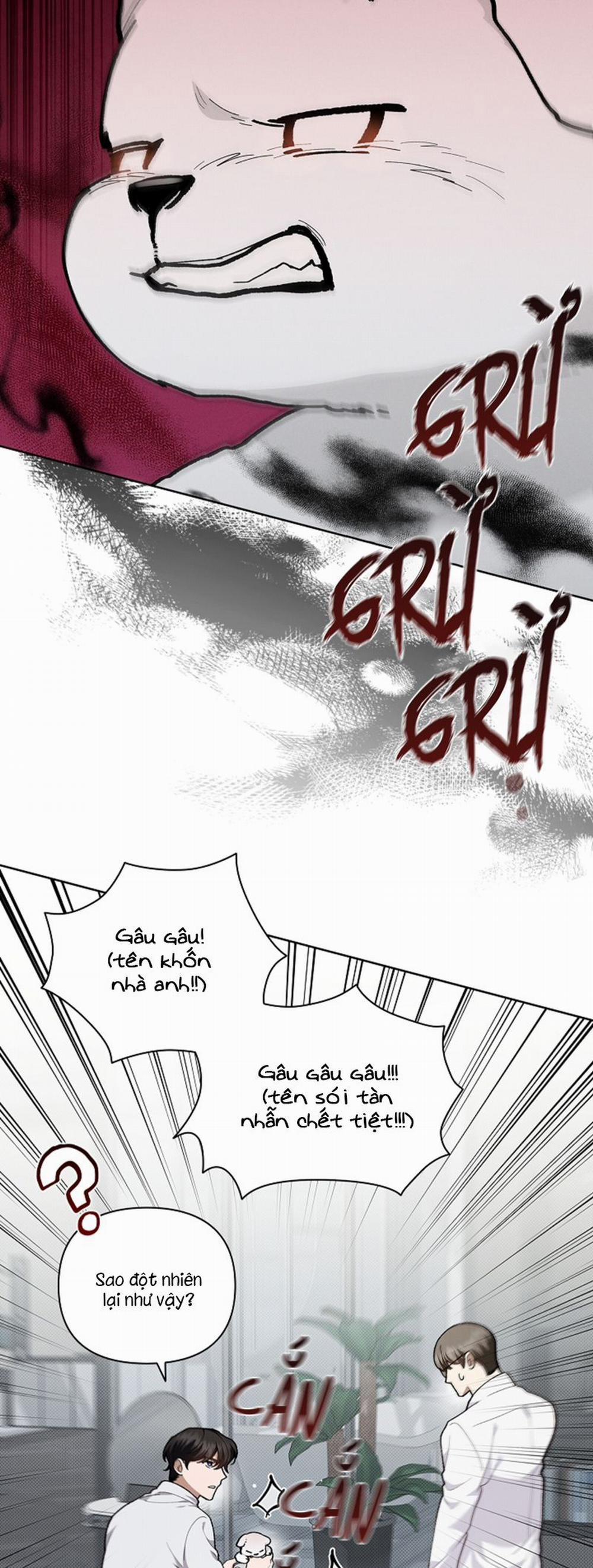 Đừng Chạm Vào Cún Con 7 trang 25