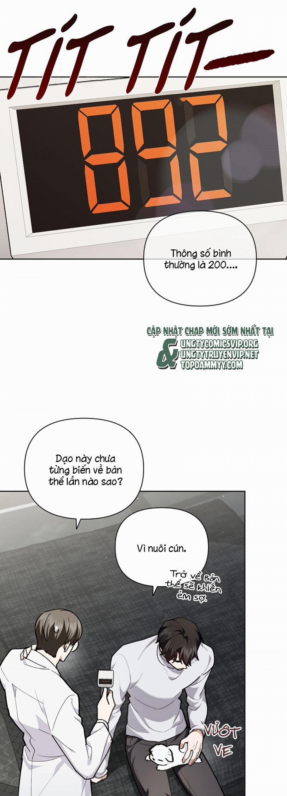 Đừng Chạm Vào Cún Con 7 trang 28