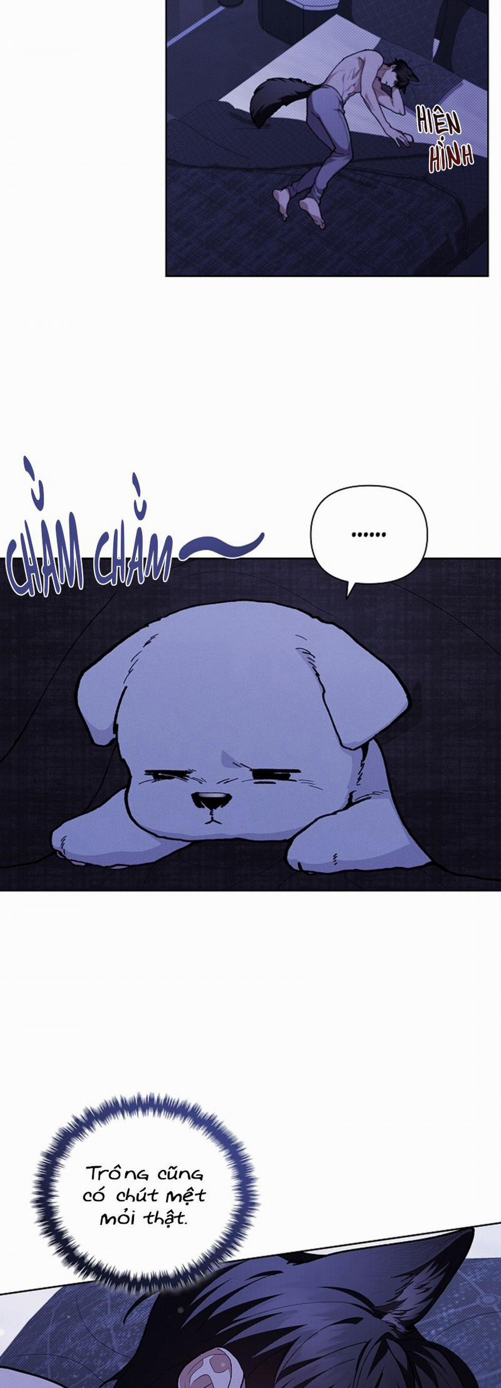 Đừng Chạm Vào Cún Con 7 trang 33