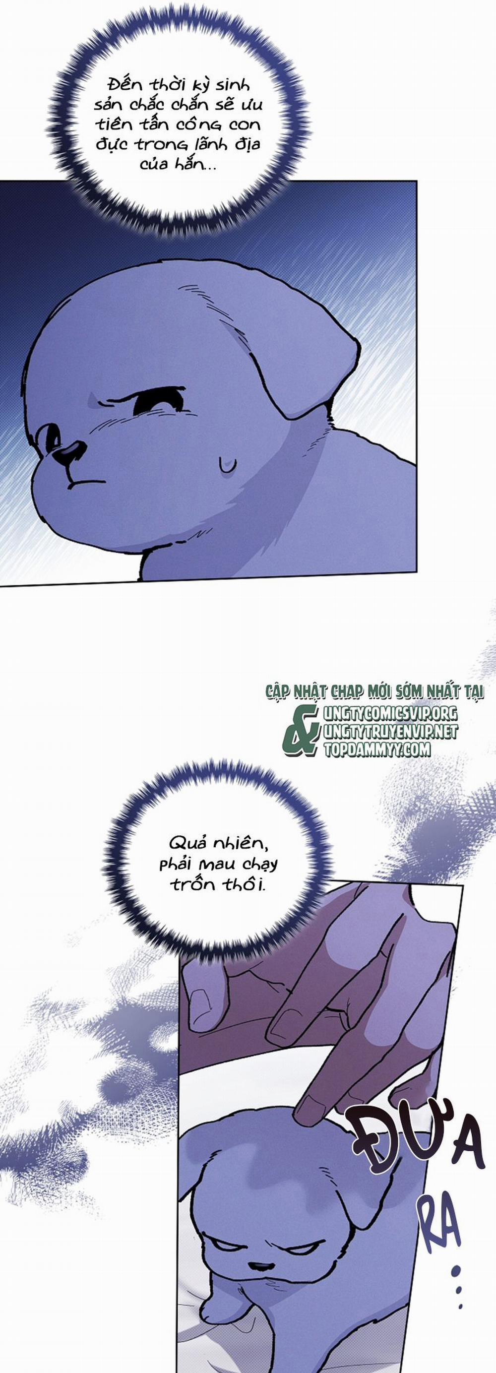 Đừng Chạm Vào Cún Con 7 trang 40