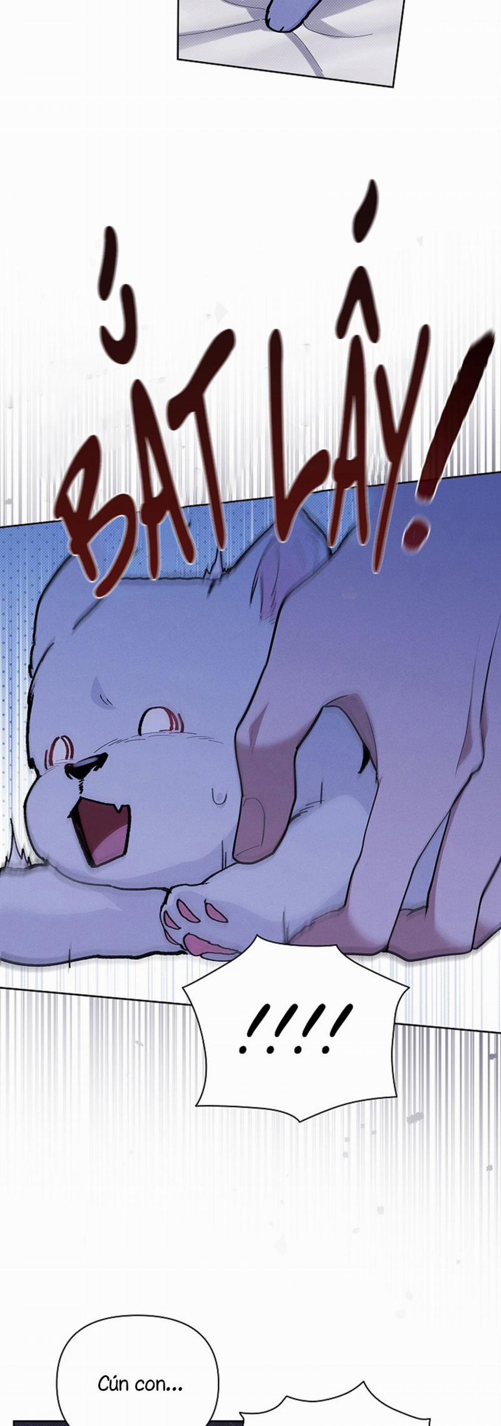 Đừng Chạm Vào Cún Con 7 trang 41