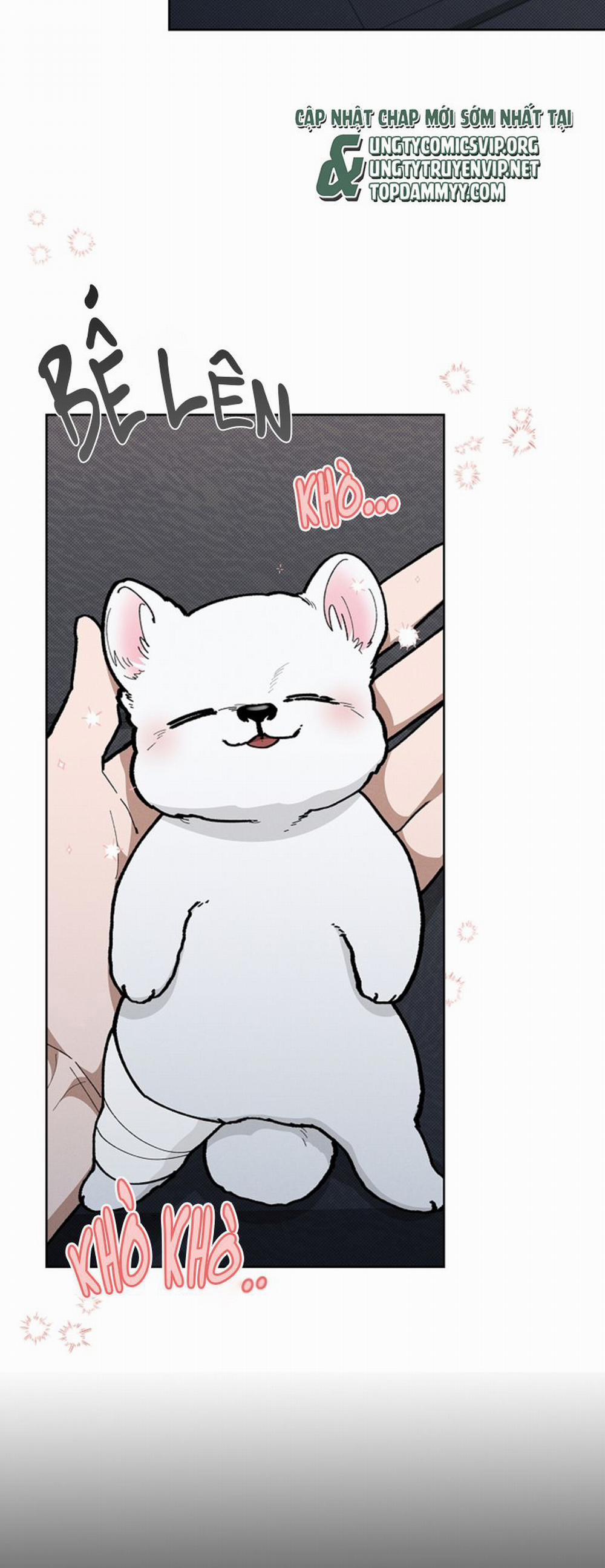 Đừng Chạm Vào Cún Con 7 trang 6