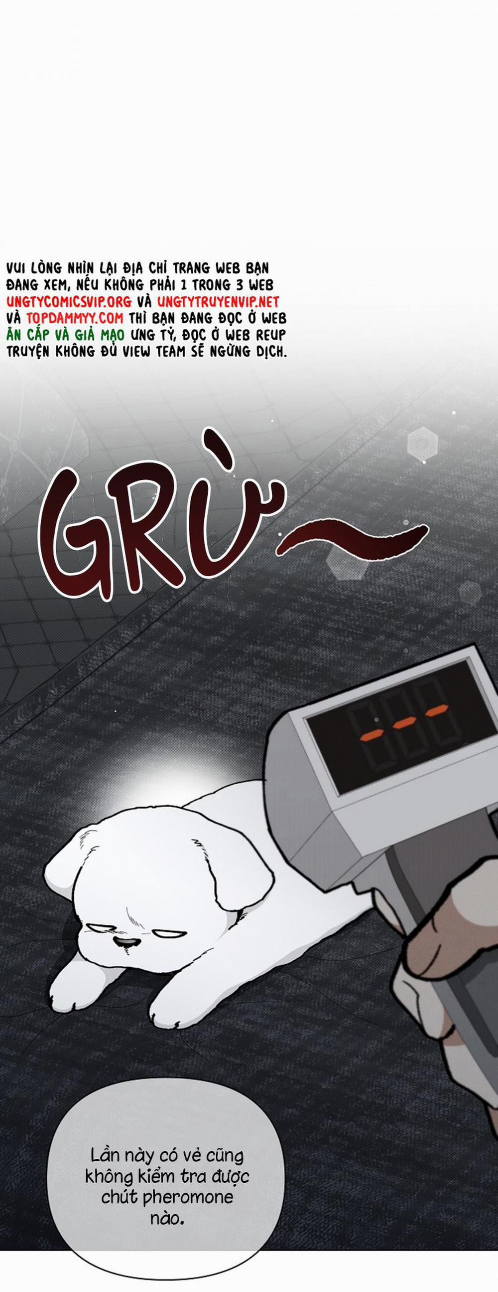 Đừng Chạm Vào Cún Con 7 trang 9