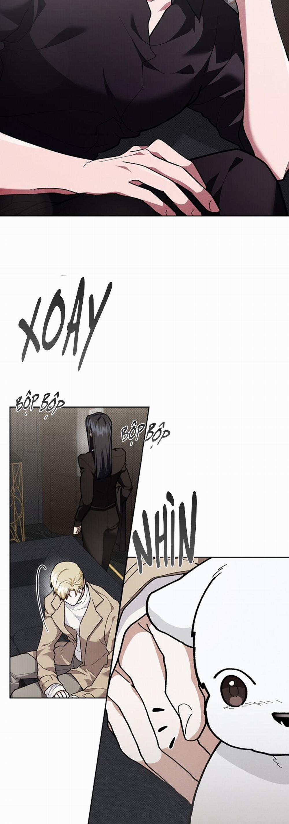 Đừng Chạm Vào Cún Con 8 trang 17