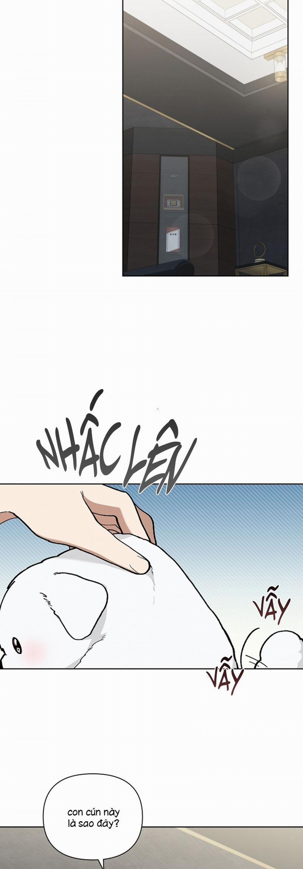 Đừng Chạm Vào Cún Con 8 trang 2