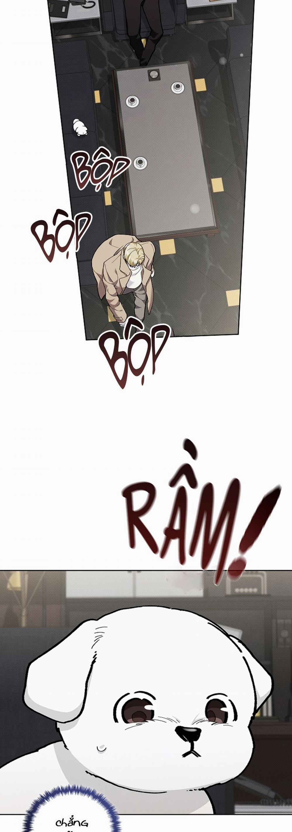 Đừng Chạm Vào Cún Con 8 trang 20