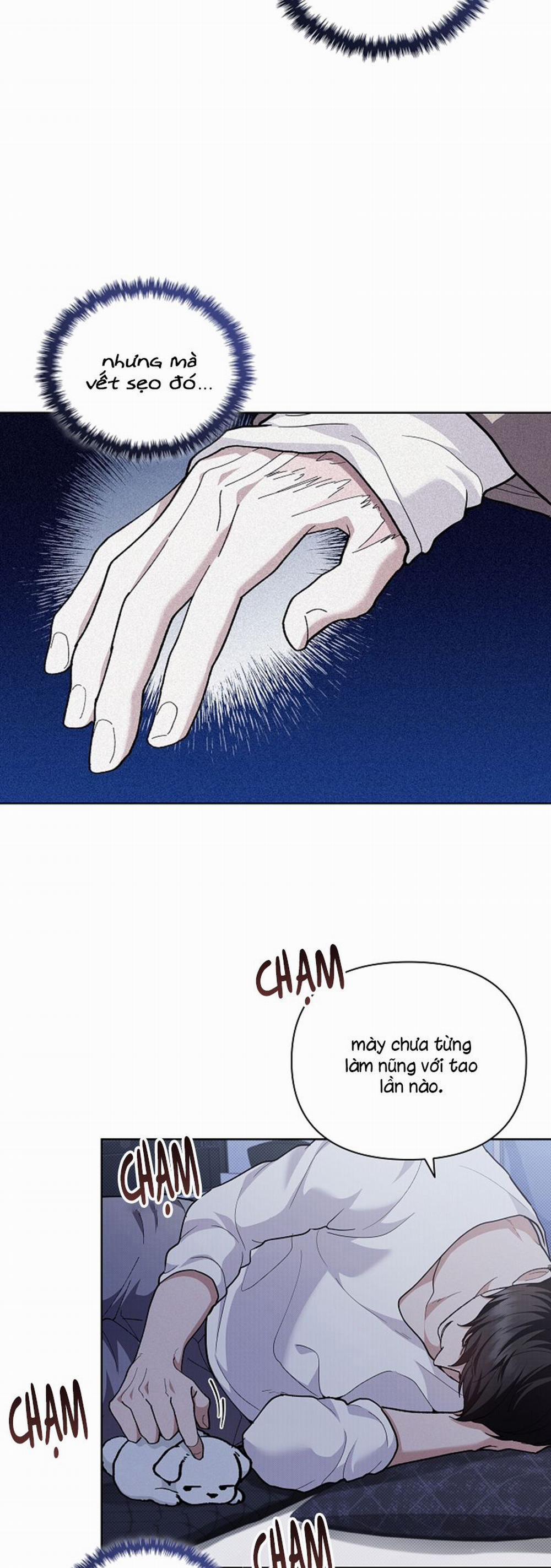 Đừng Chạm Vào Cún Con 8 trang 24