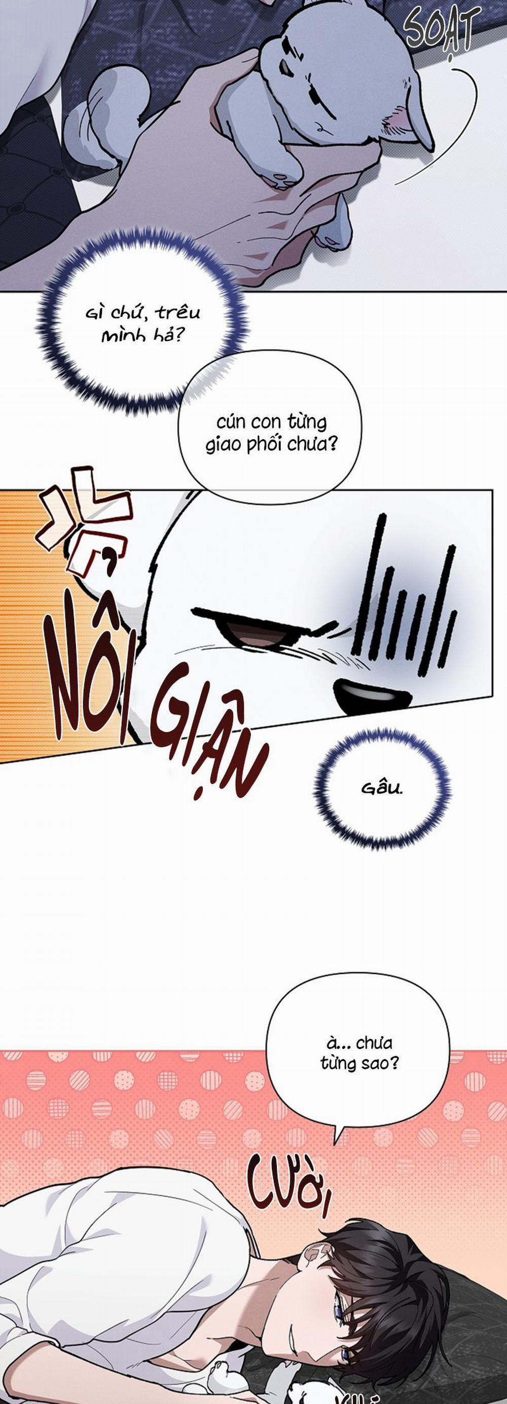 Đừng Chạm Vào Cún Con 8 trang 26