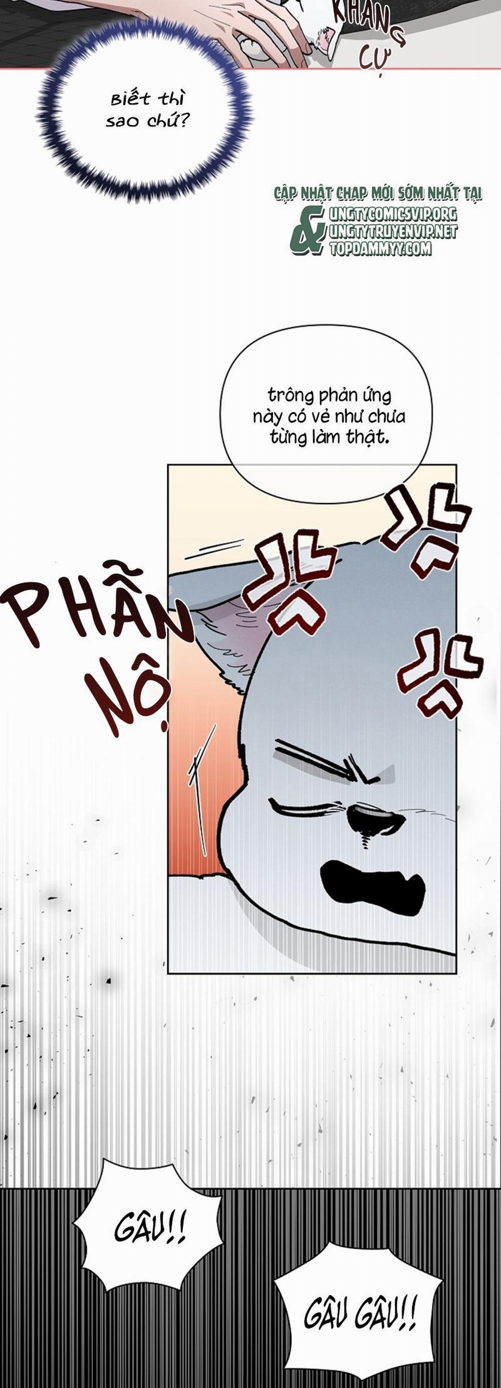 Đừng Chạm Vào Cún Con 8 trang 27