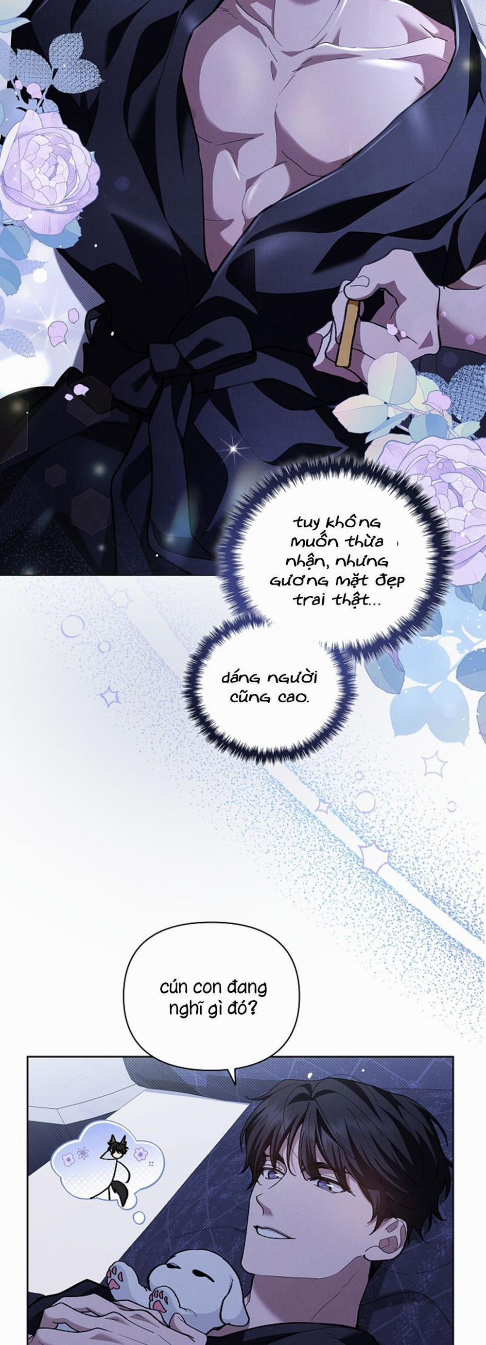 Đừng Chạm Vào Cún Con 8 trang 36