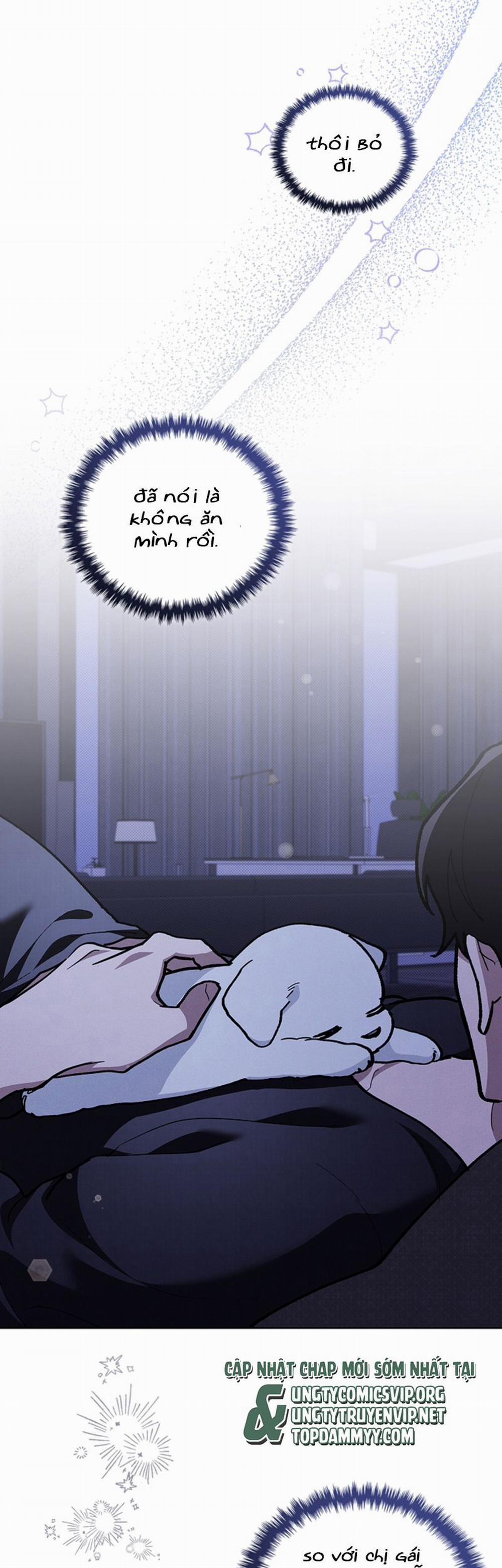 Đừng Chạm Vào Cún Con 8 trang 39