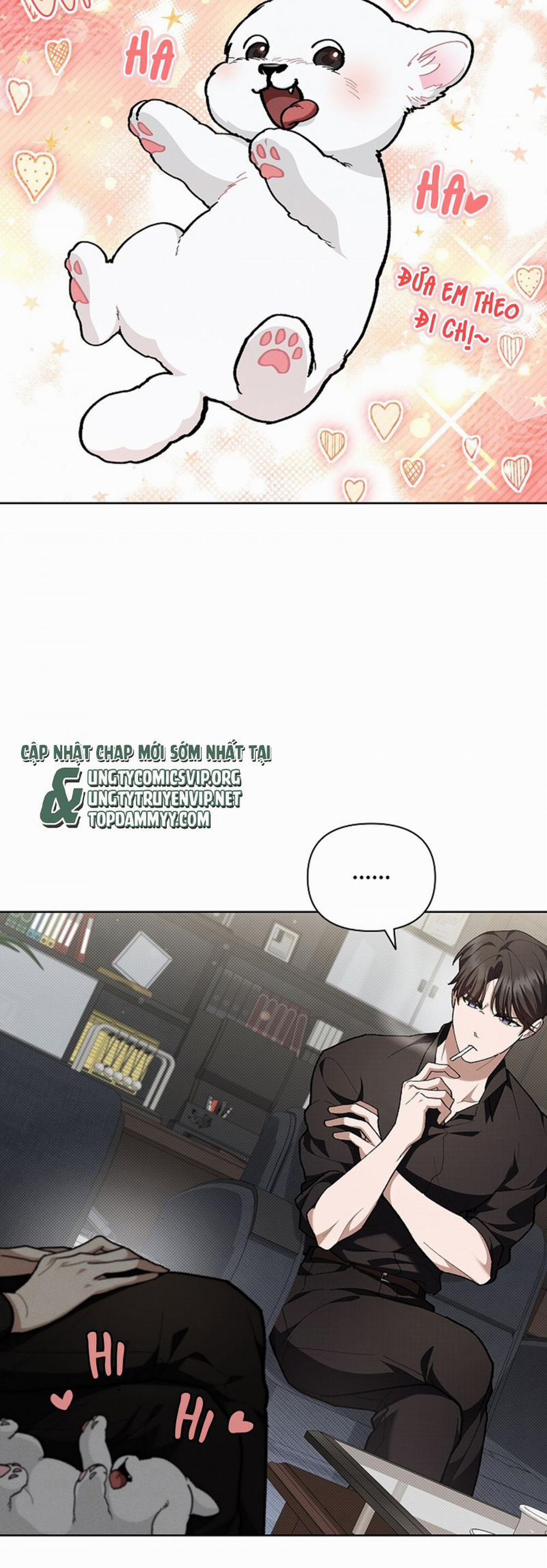 Đừng Chạm Vào Cún Con 8 trang 6