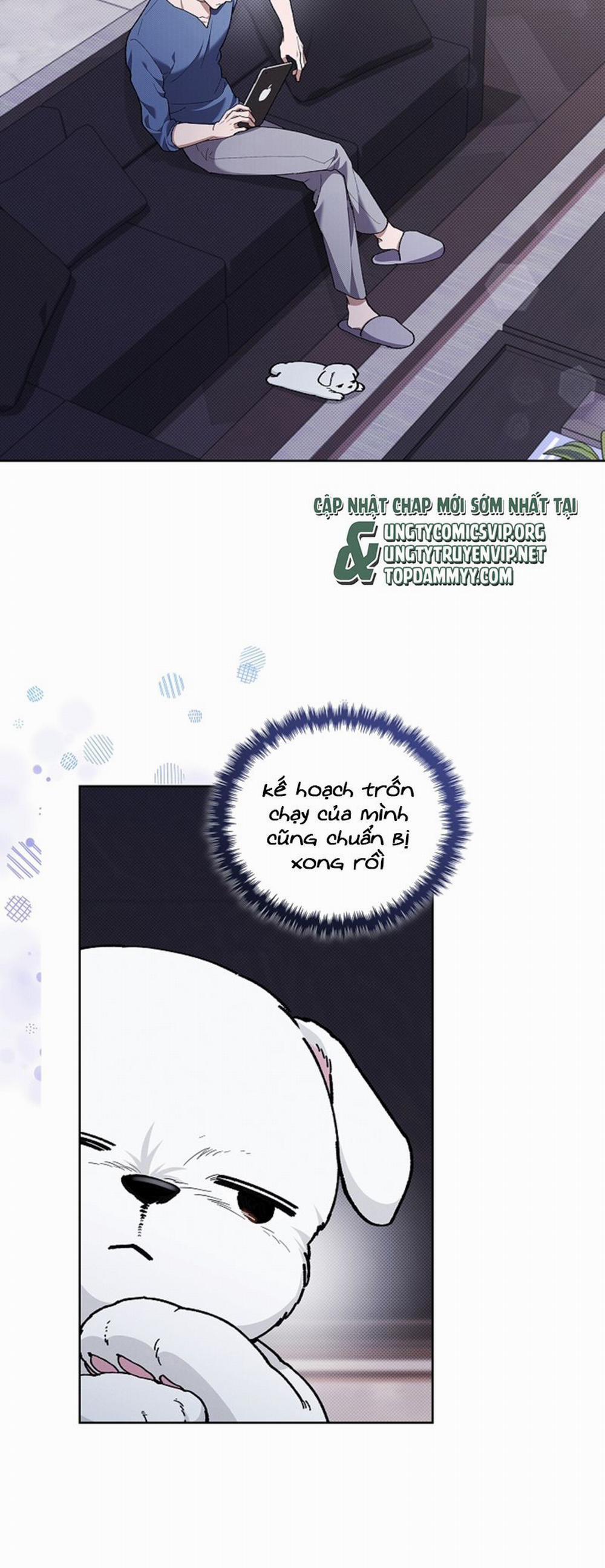 Đừng Chạm Vào Cún Con 9 trang 1