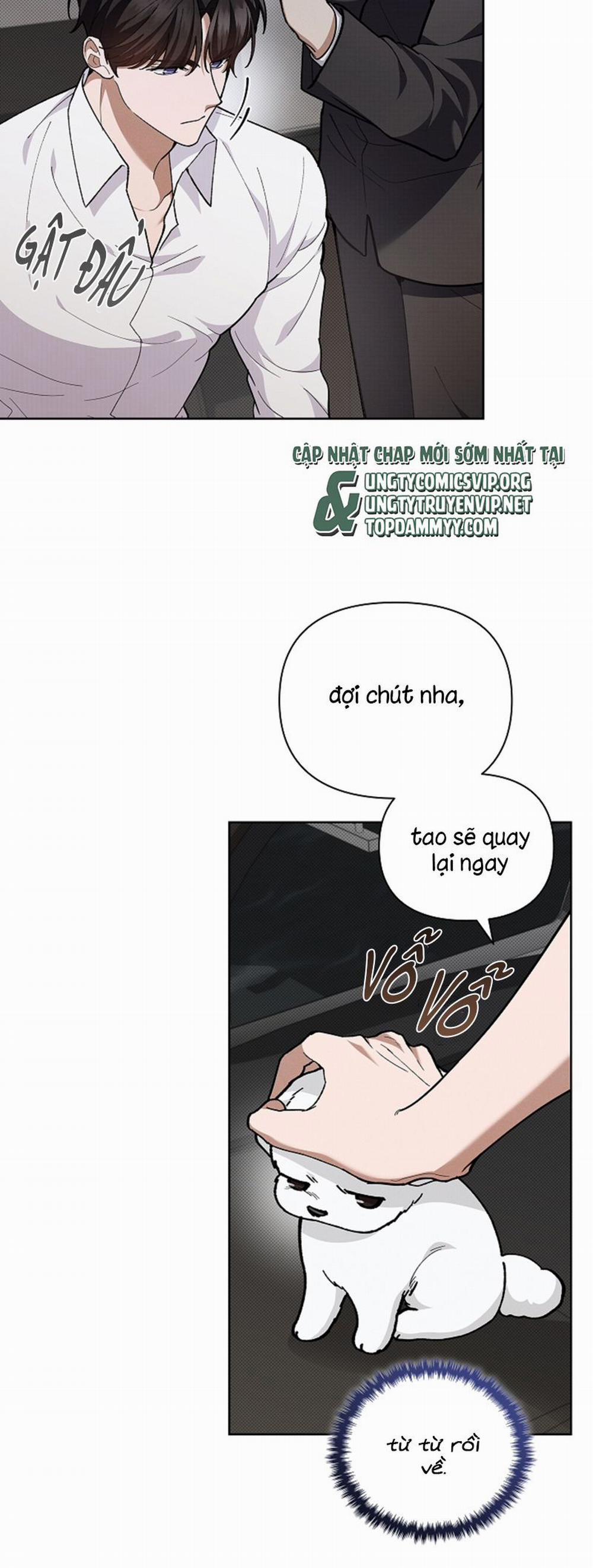 Đừng Chạm Vào Cún Con 9 trang 29