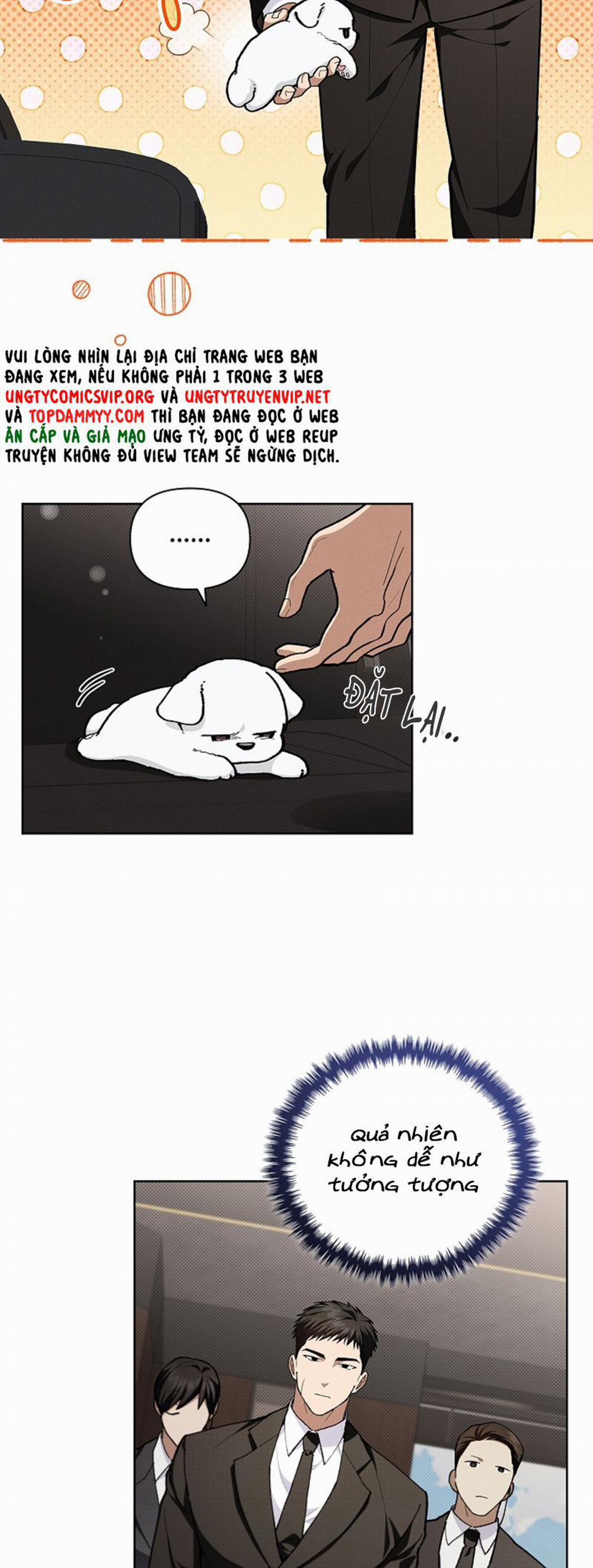 Đừng Chạm Vào Cún Con 9 trang 35