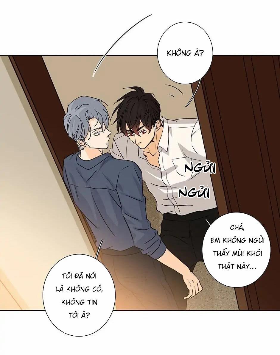 Đừng Chạm Vào Tim Tôi 44 trang 24