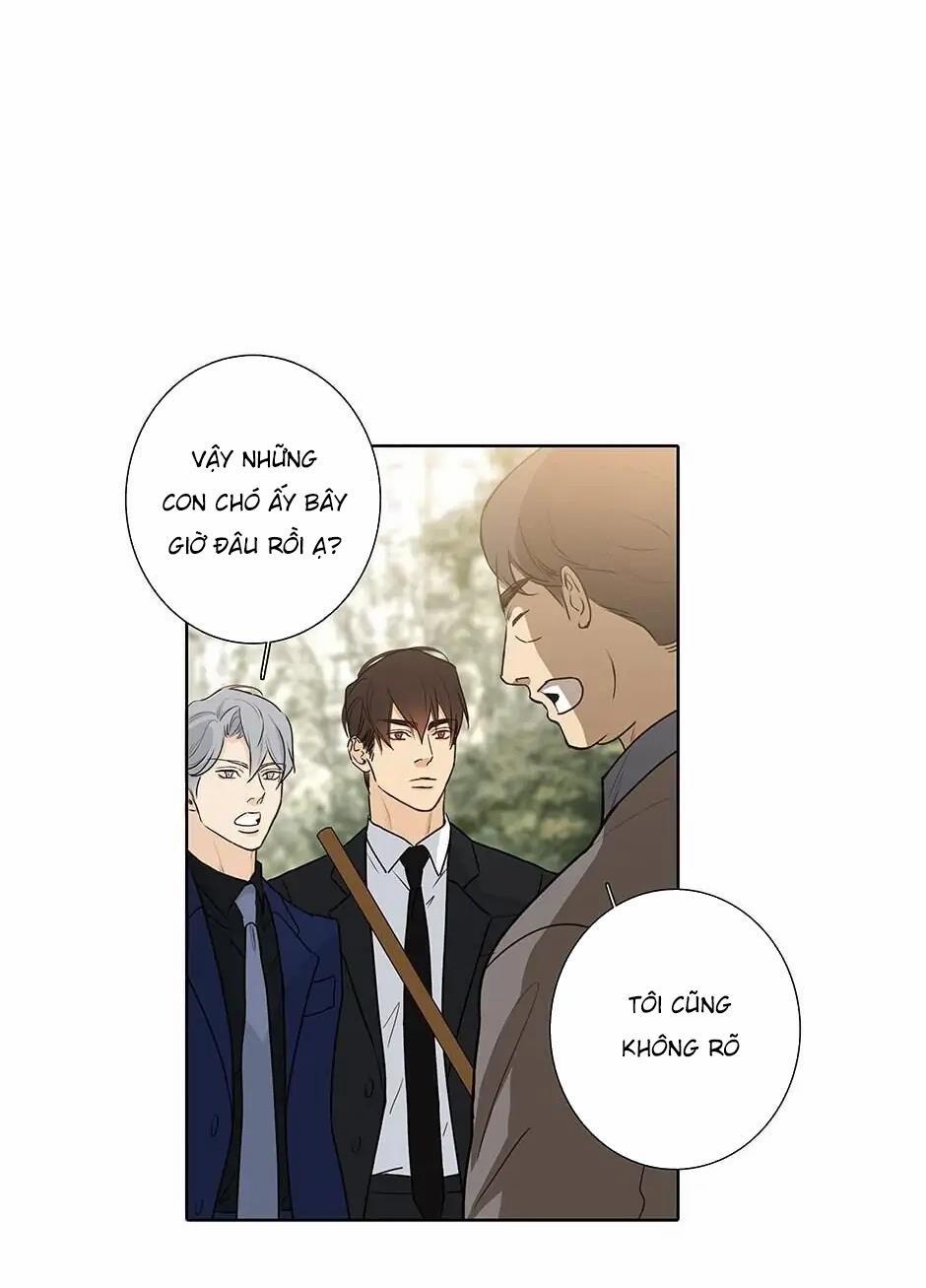 Đừng Chạm Vào Tim Tôi 46 trang 32